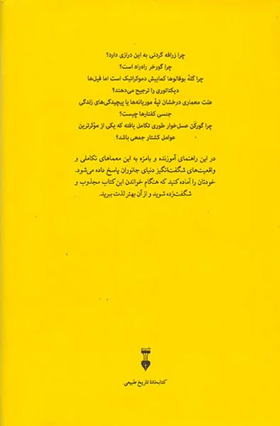 چگونه گورخر راه راه شد